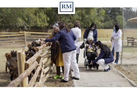 Faire manger les chèvres à Resort Medical Sousse