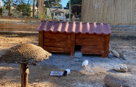 Des cobayes à Resort Medical Sousse